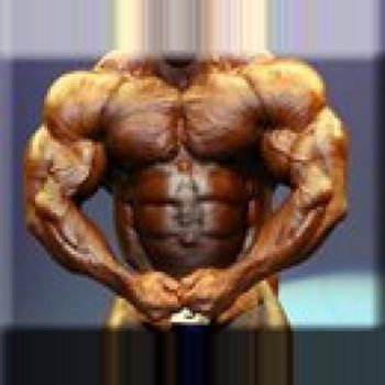 Beginner steroid cycle