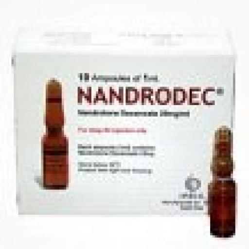 nandrodec-2774-b.jpg