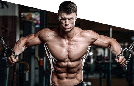 🔄 Post Cycle Therapy (PCT): Why It’s Critical After Every Steroid Cycle | Steroids Direct Online